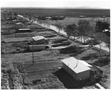 Near Coolidge, Arizona. View of Casa Grande cooperative farm in third year of operation. See testimo . . . - NARA - 522488