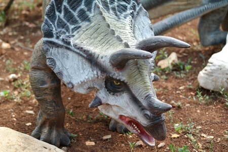 Prehistoric times dinopark funtana croatia