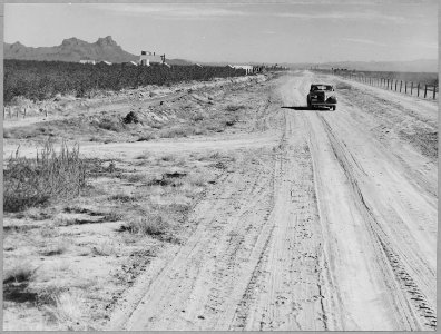 Near Eloy, Pinal County, Arizona. New cotton lands in the Eloy District. - NARA - 522223