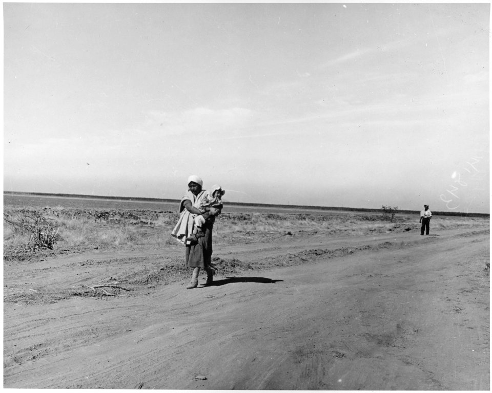 Near Eloy, Pinal County, Arizona. Mexican cotton pickers walk back to camp for lunch. - NARA - 522048