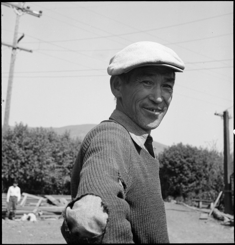 Near Mission San Jose, California. Irrigator of Japanese ancestry on a farm, prior to evacuation. - NARA - 537659 photo