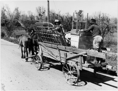 Near Rio Oso, Sutter County, California. Family returning to their home after the 1940 flood of the . . . - NARA - 521810