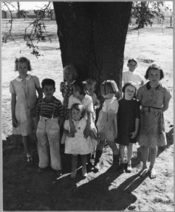 Near Yuba City, California. Children of migrant workers in Yuba City Agricultural Farm Workers Commu . . . - NARA - 521752 photo