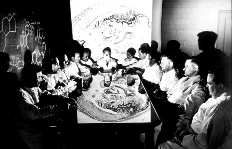 Nci's first scientific staff