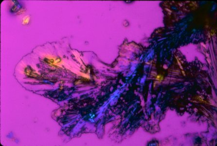 Nci-vol-8040-300 Cisplatin crystals