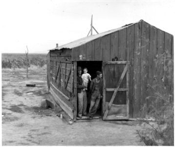 Near Buckeye, Maricopa County, Arizona. Migratory cotton pickers in grower's camp. See negative 4432 . . . - NARA - 522543
