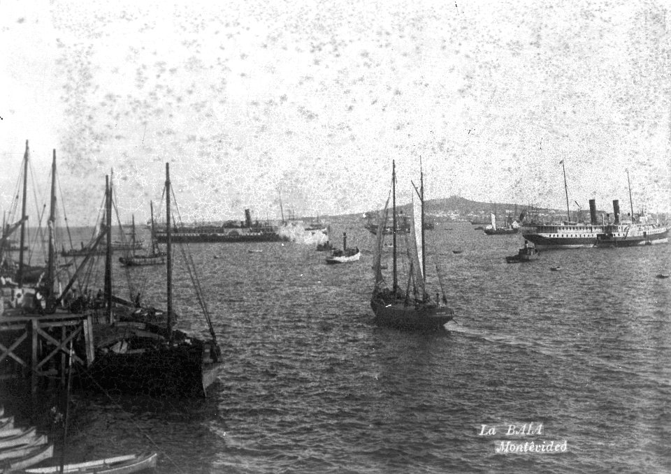 Neg. 41. Bahía de Montevideo