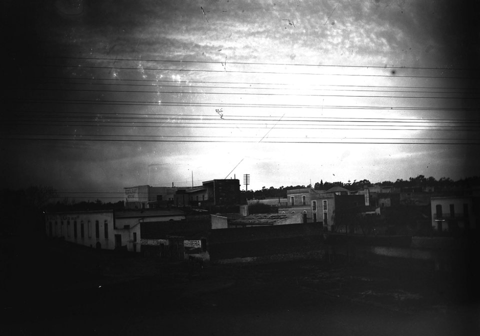Neg. 49. Palermo