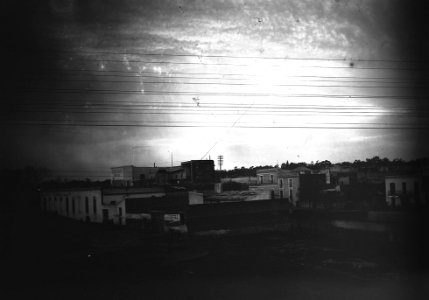 Neg. 49. Palermo photo