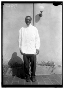 NEGROES. ROBERT WOOD LCCN2016869452