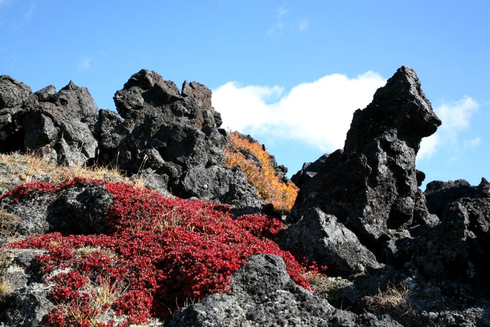 The foot clouds fall colors