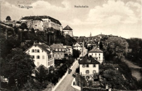 Neckarhalde und Hohentübingen (AK 1909)