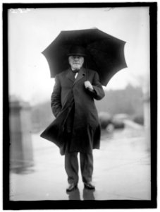 NELSON, KNUTE. REP. FROM MINNESOTA, 1883-1899; GOVERNOR, 1892-1895; SENATOR, 1895-1923 LCCN2016863240