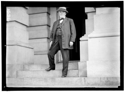 NELSON, KNUTE. REP. FROM MINNESOTA, 1883-1899; GOVERNOR, 1892-1895; SENATOR, 1895-1923 LCCN2016863995