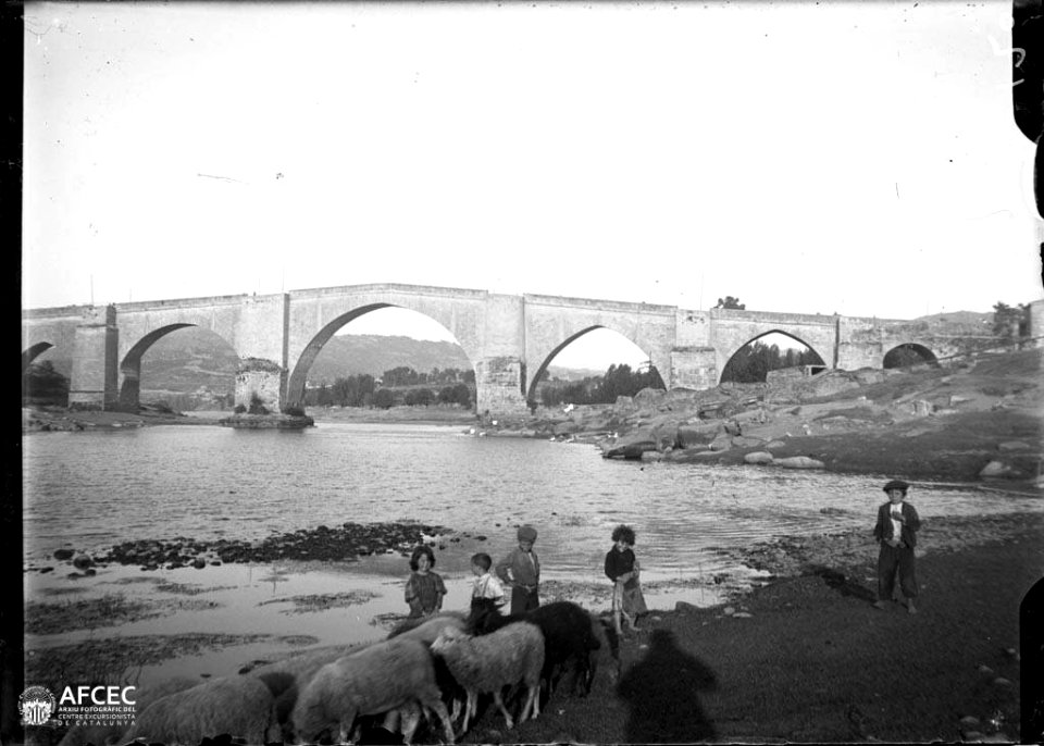 Nens i ovelles a la riba d'un riu i al fons un pont