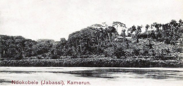 Ndokobele (Jabassi)-Kamerun (cropped)
