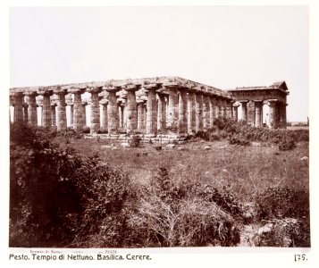 Neptuns tempel, Pesto - Hallwylska museet - 107441