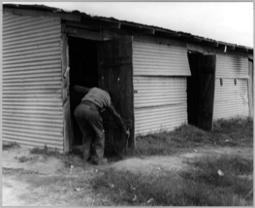 Near Buckeye, Maricopa County, Arizona. Migratory cotton pickers in grower's camp. - NARA - 522242