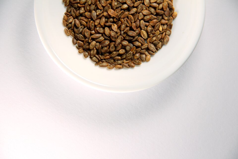 Health food white dish white background