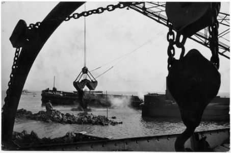 Netherlands. Land reclamation in Holland with help of Marshall Plan Funds - NARA - 541707