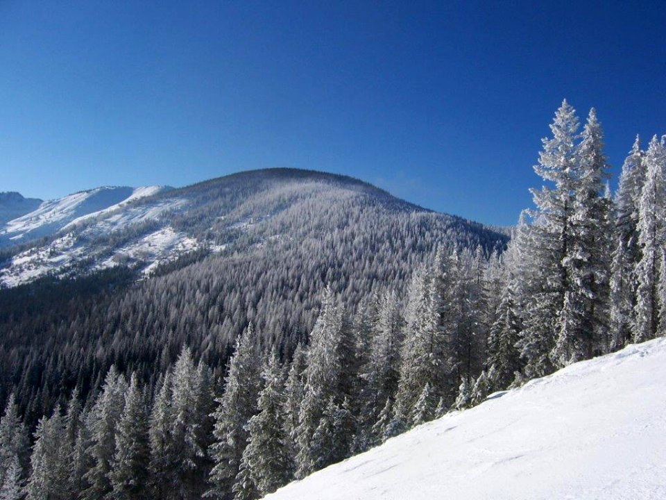 Near Lookout Pass Ski Area (26572031068)