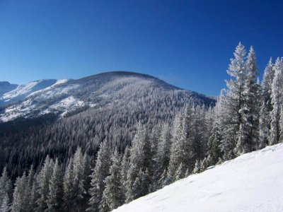 Near Lookout Pass Ski Area (26572031068) photo