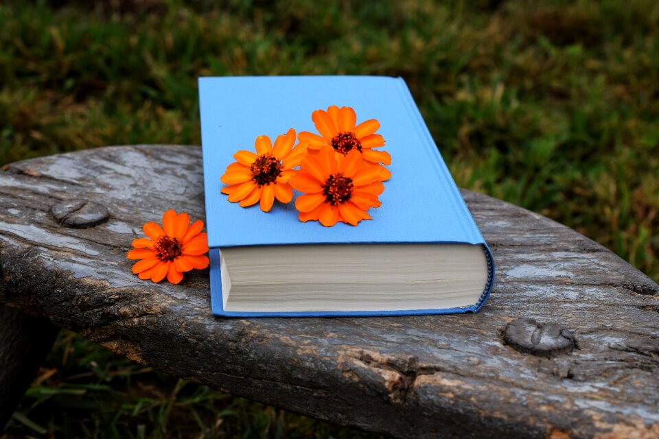 Orange blue beautiful