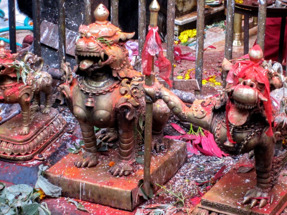 Nepal travel 2011-01-30 014 (11652859836)