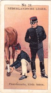 Nederlandsche leger No. 19. Paardenarts, klein tenue.