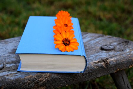 Orange blue beautiful