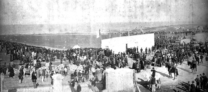 Neg. 18. Polígono de tiro en Punta Carretas