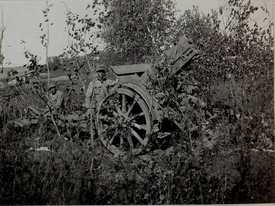 Neue 15 cm von Skoda produzierte M14 Rohrrücklaufhaubitze, maskiert in einer Mulde Bol Zagorze (BildID 15442286)