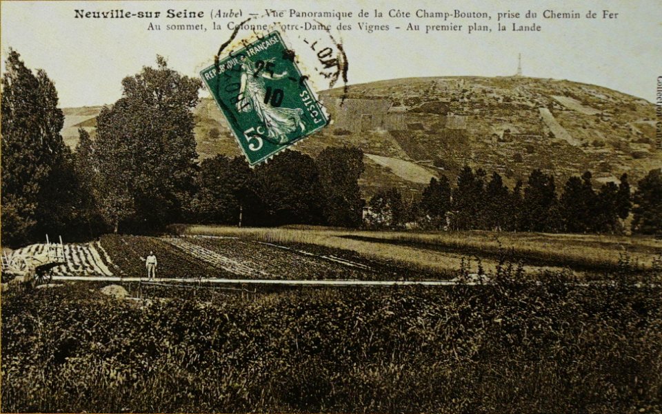 Neuville sur seine cote champ bouton 05315