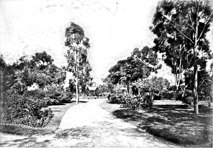 MG-013-0359 (Plaza 6 de Junio)