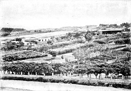 MG-013-0363 (Plaza de invalidos (Recoleta))