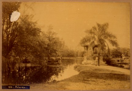 MG-05-041 (Palermo)