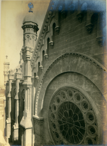 MG-21-019 (roseton del crucero norte)