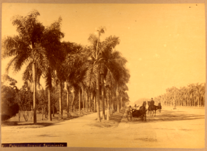 MG-05-040 (2. Palermo Avenida Sarmiento)