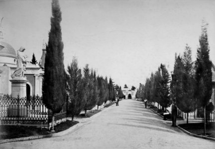 MG-013-0384 (Cementerio del Norte)
