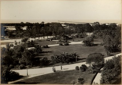 MG-019-039 (Recoleta)