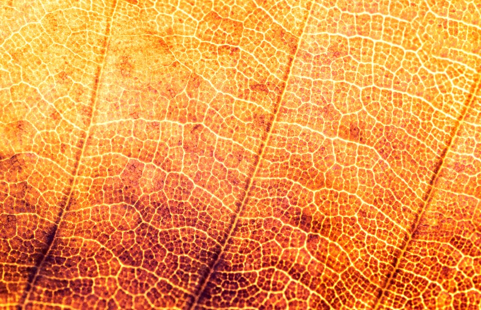 Pattern structures background