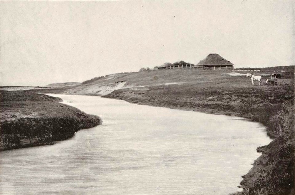 Miadźviadka, Vuša. Мядзьвядка, Вуша (T. Boretti, 1900) (2)