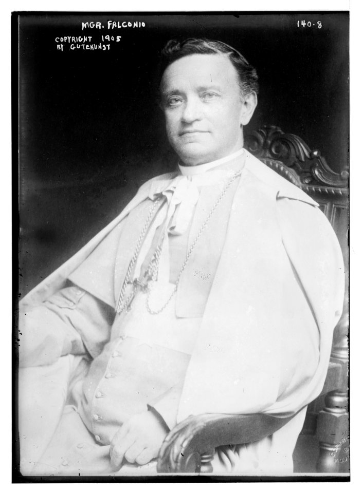 Mgr. Falconio, sitting, copyright by Gutekunst - Gutekunst LCCN2014680826