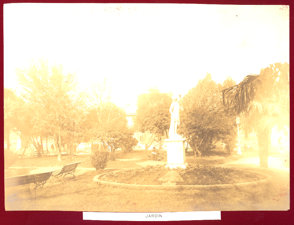 MG-53-015 (Hospital Rawson. Jardín.)