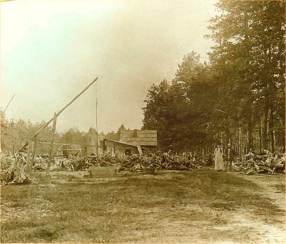 Miadźviedzičy, Brady. Мядзьведзічы, Брады (I. Sierbaŭ, 1912)