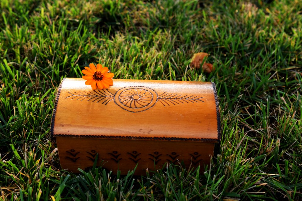 Wooden box green beautiful flower