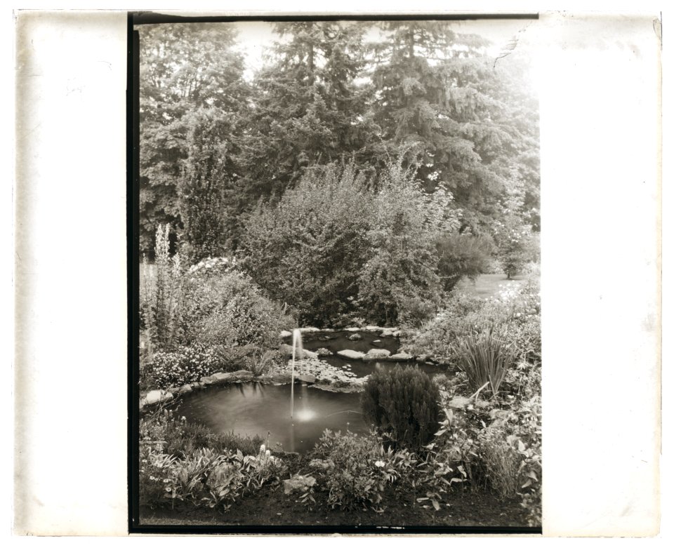 Michael Cochrane Armour house, 962 Linda Vista Avenue, Pasadena, California. Rockery pools LCCN2008679246