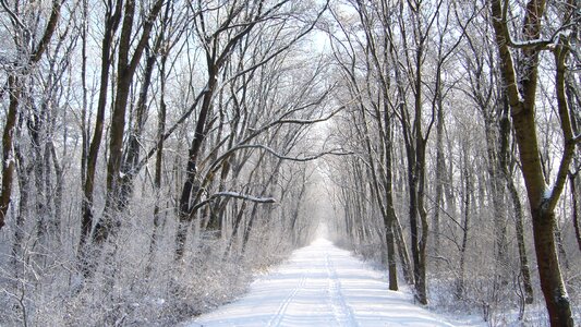 Snow frost slovakia