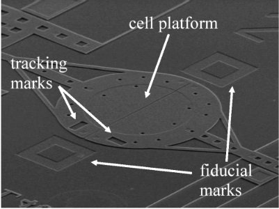 Microelectromechanical system (MEMS) (5880495531)