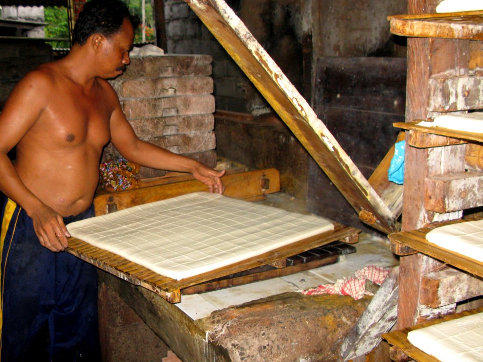Microloans Project Bali - Tofu Industry (5517024840)